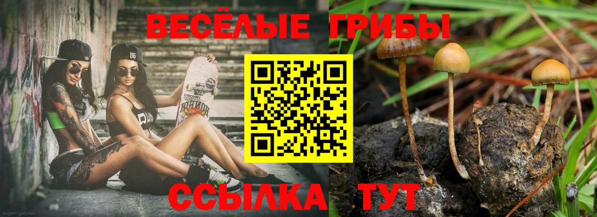 Галлюциногенные грибы ЛСД  Псилоцибиновые грибы прущие грибы  купить закладку  Вход с VPN  Егорьевск 