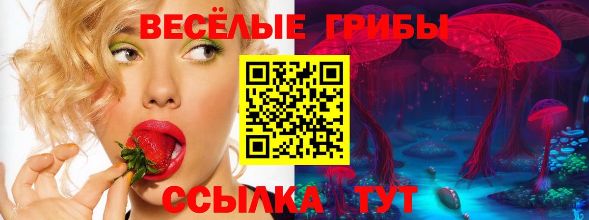 Галлюциногенные грибы мицелий Егорьевск