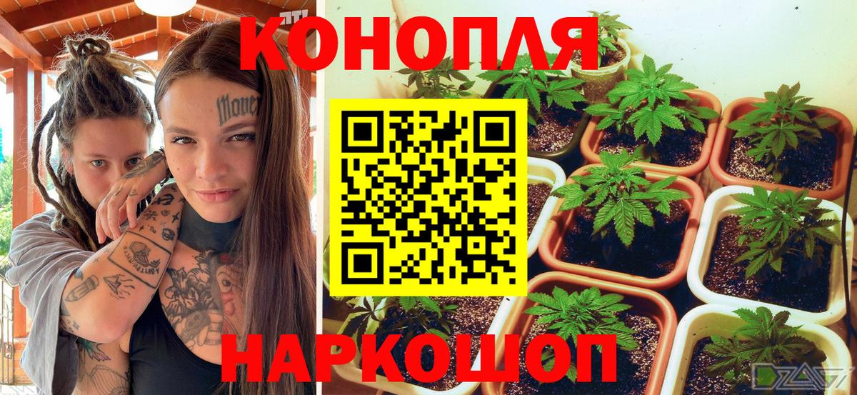 Конопля Bruce Banner Егорьевск